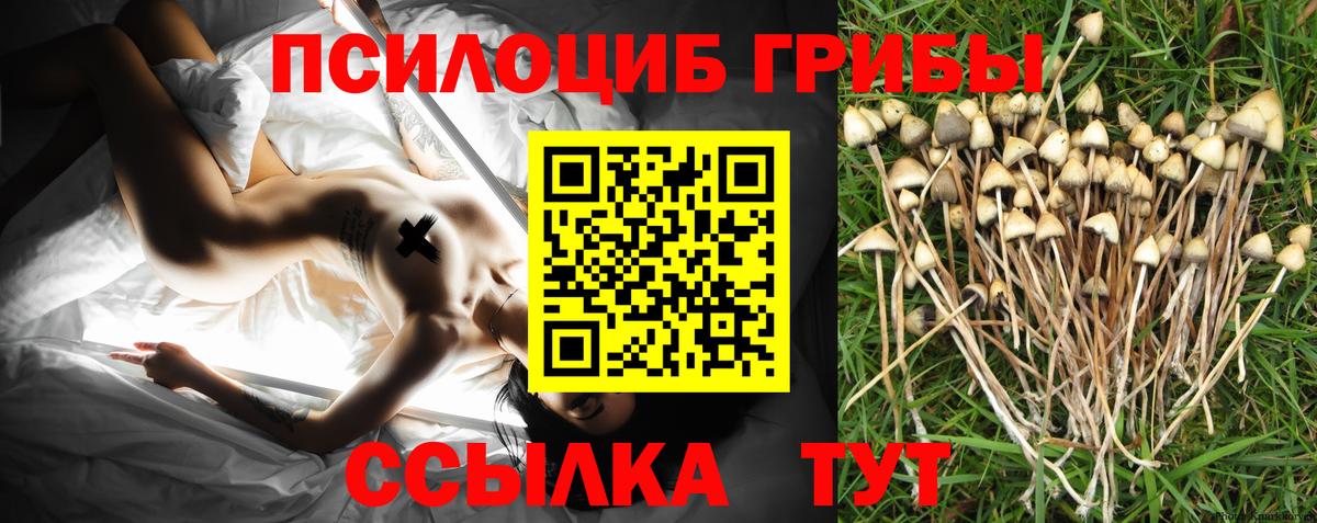 Псилоцибиновые грибы Magic Shrooms Кропоткин